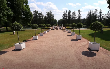 Петергоф на метеоре: фонтаны и дорога, которая уже часть впечатлений