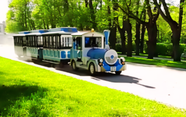 Как я, замкнутый историк, нашел друзей и влюбился в историю заново