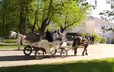 Лучший подарок от шефа - как мы, девчонки из кафе, оторвались в Питере