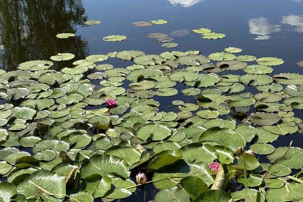 Гостевой дом «Переволока»